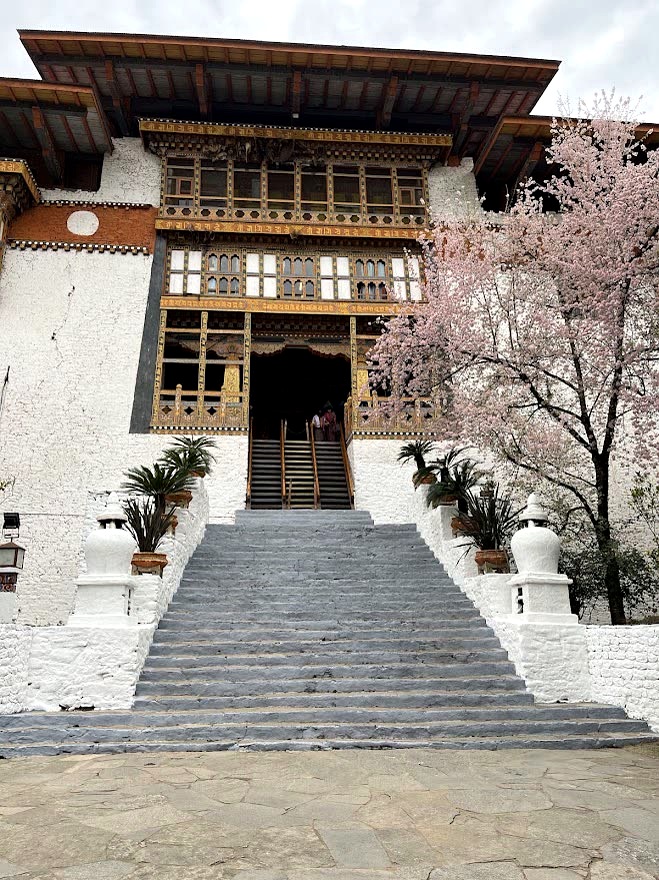 Dzong Steps in Cherry Blossom, Punakha, Bhutan