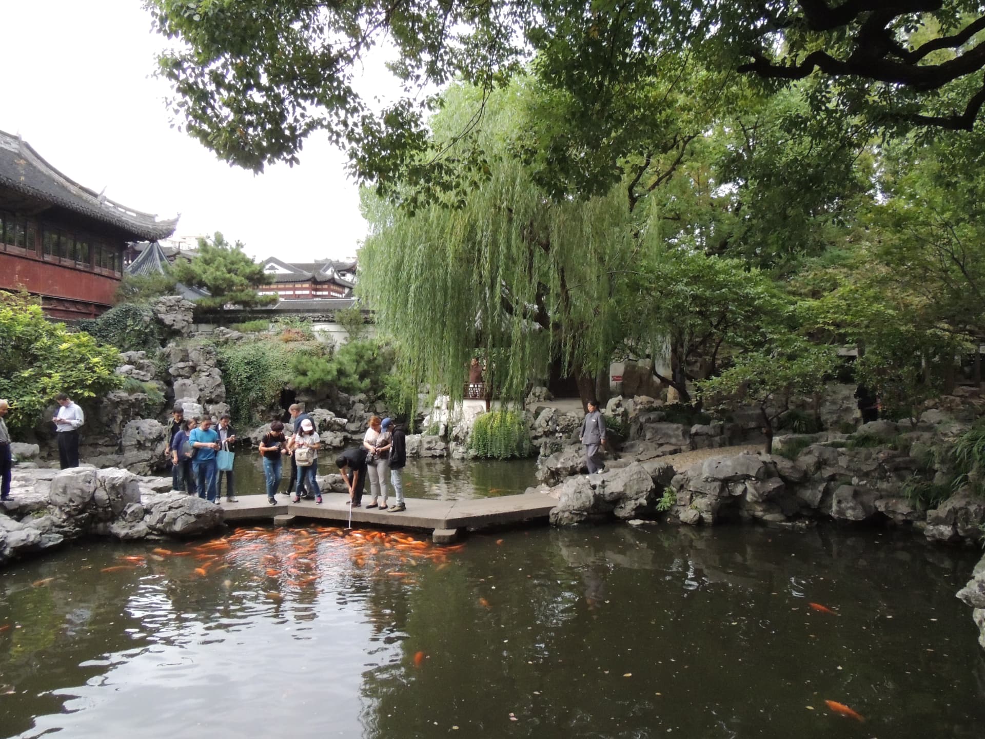 Yu Garden Koi Pond, Yu Garden, Shanghai
