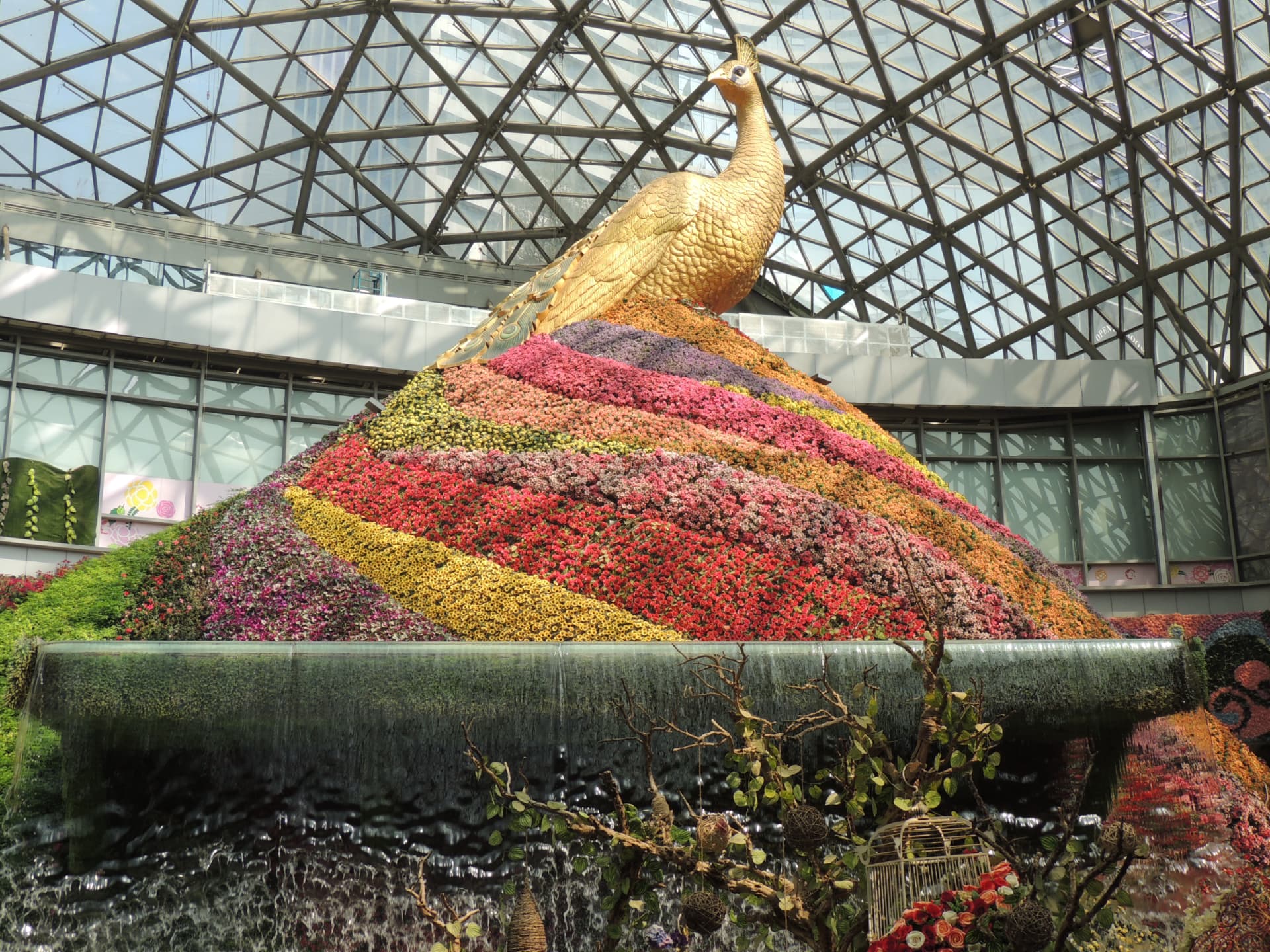 Golden Peacock of Flowers, Flower Expo, China