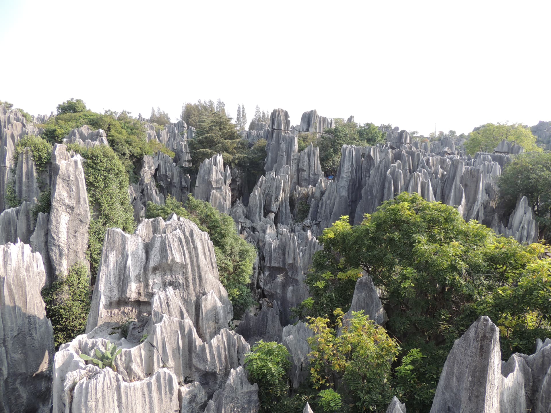 Limestone Pinnacles, Shilin, Yunnan