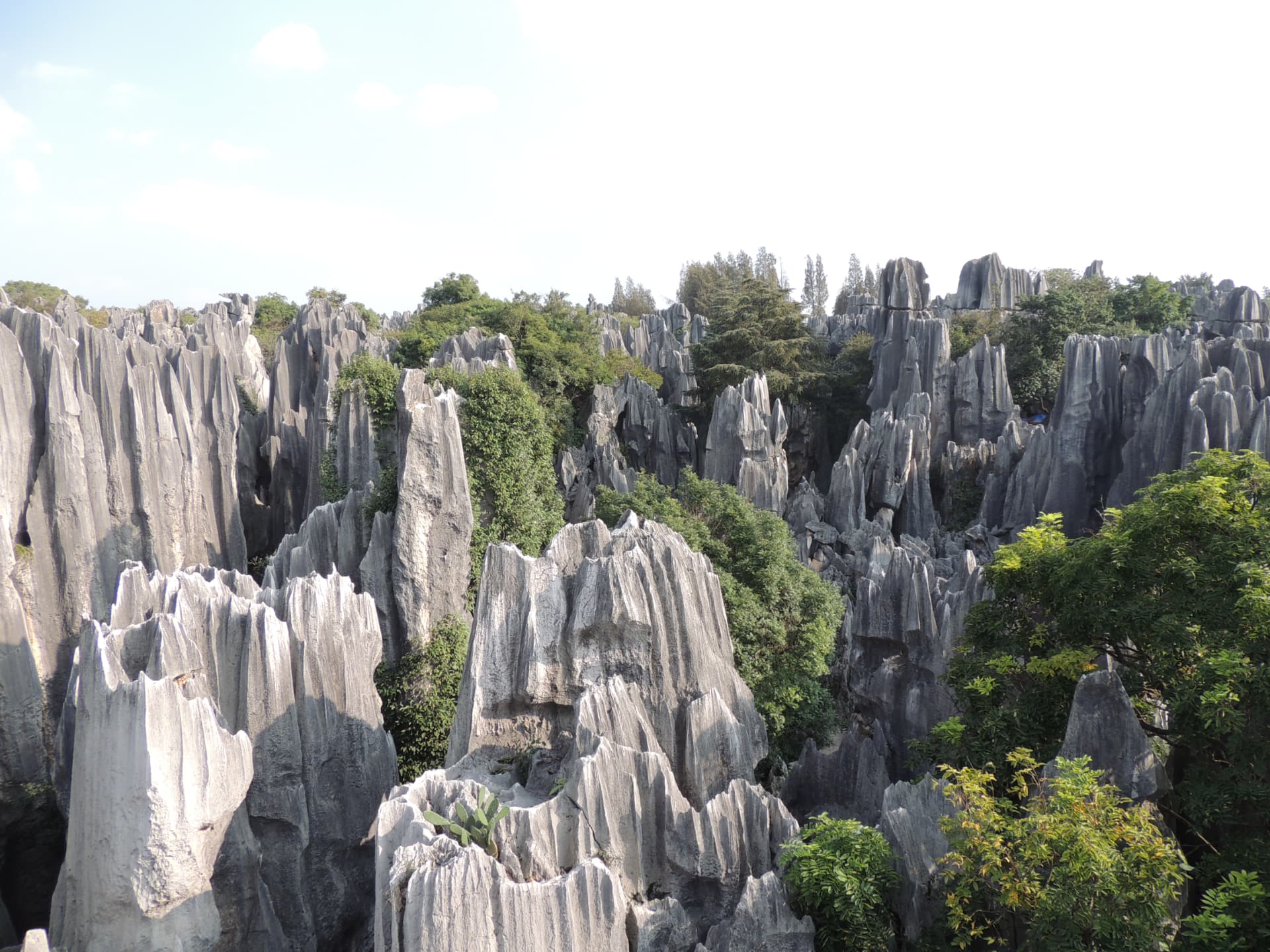Stone Forest Panorama, Shilin, Yunnan