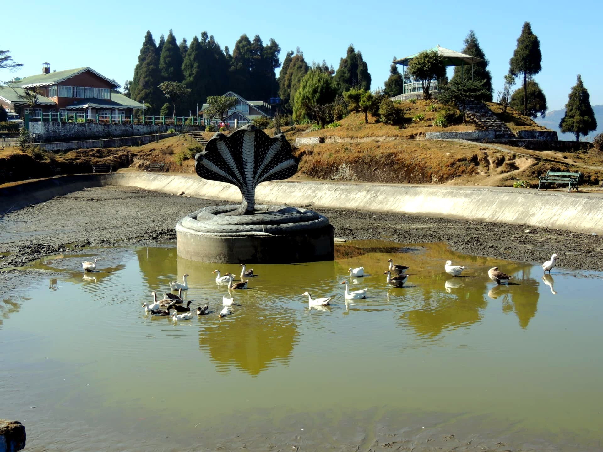 Cobra Sculpture, Pond and Gardens, Mirik, Darjeeling