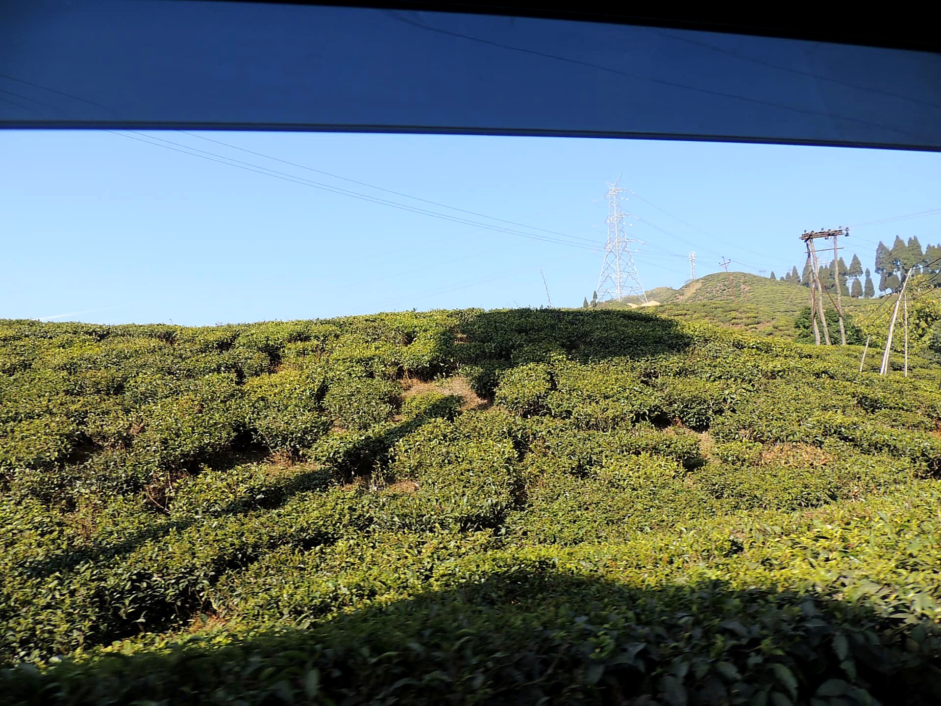Tea Garden Road, Mirik, Mirik, Darjeeling
