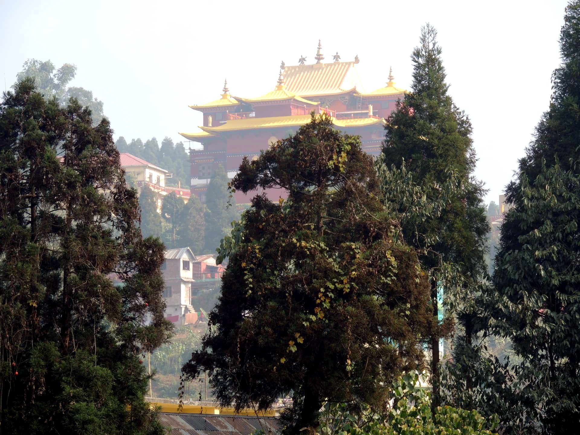 Monastery Framed by Trees, Mirik, Darjeeling