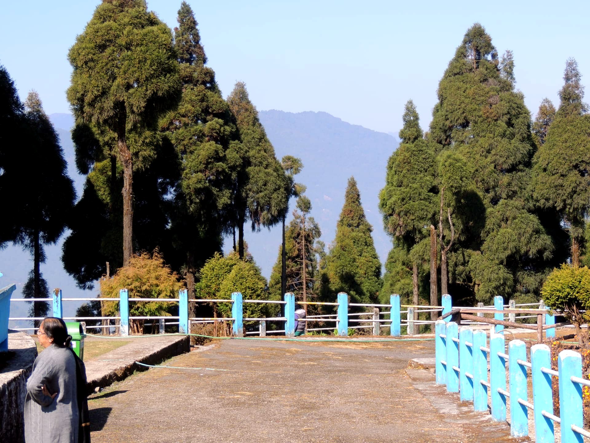 Tall Trees and Distant Mountains, Mirik, Darjeeling
