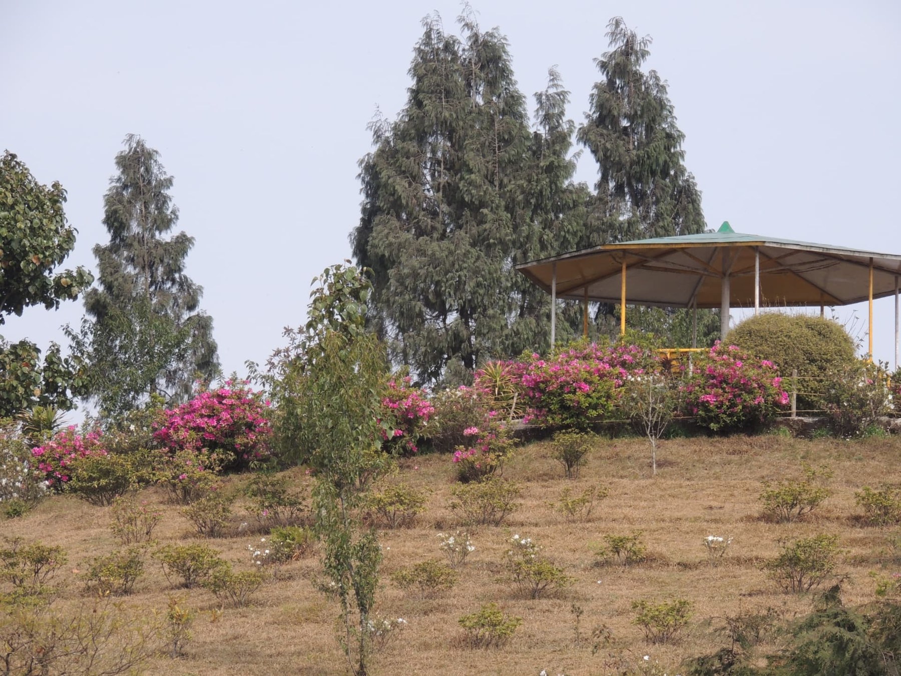 Flower Garden Pavilion, Delo Park, Kalimpong