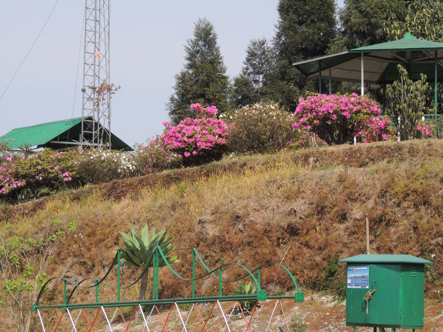 Hillside Flower Beds, Delo Park, Kalimpong