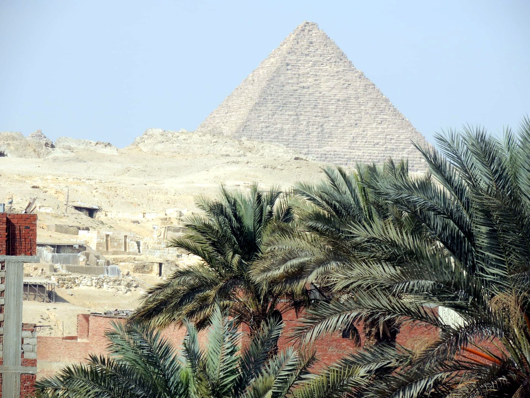 Pyramid of Menkaure behind Date Palms, Giza, Egypt
