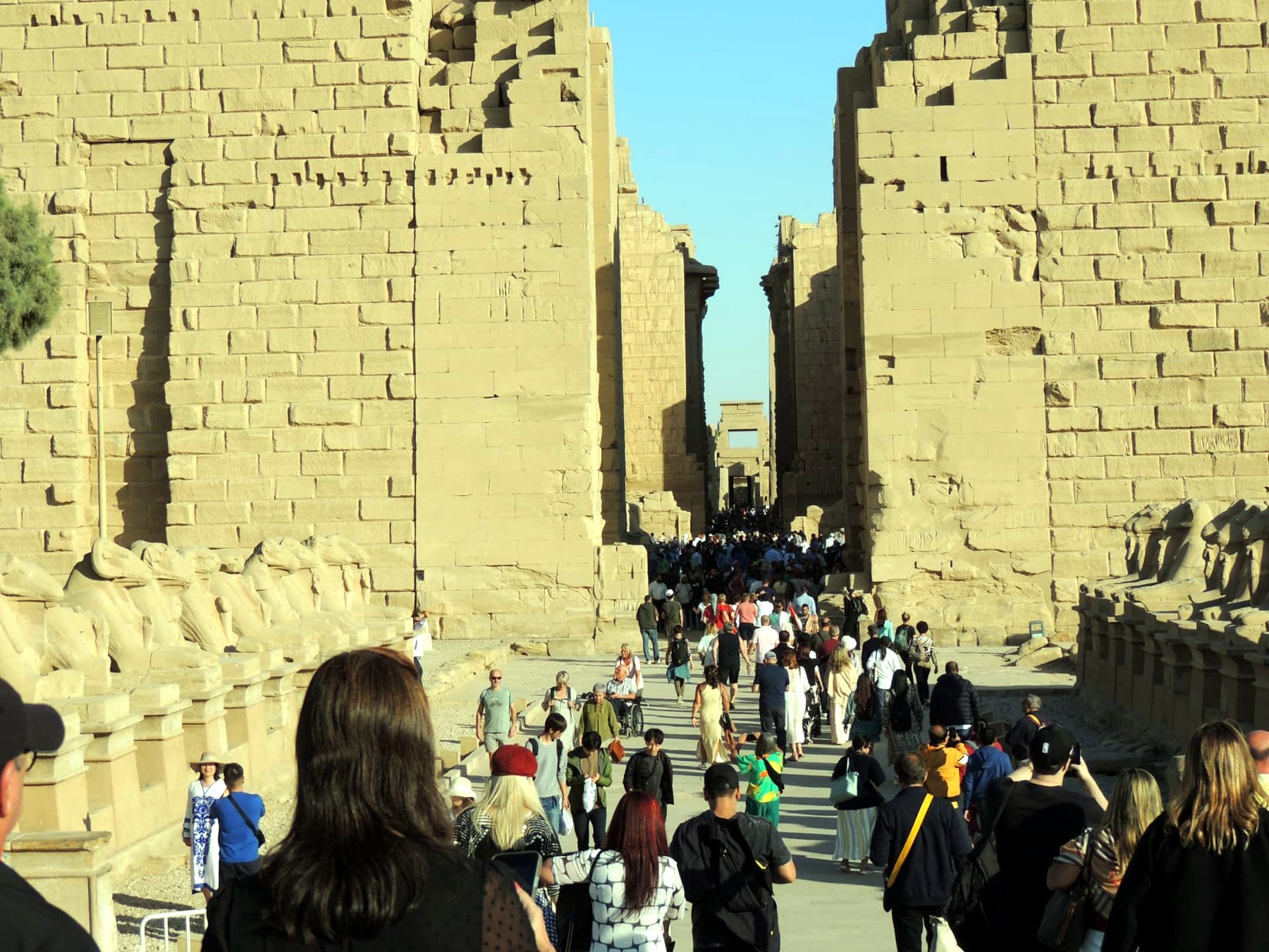 Avenue of Rams, Karnak Temple, Luxor, Egypt