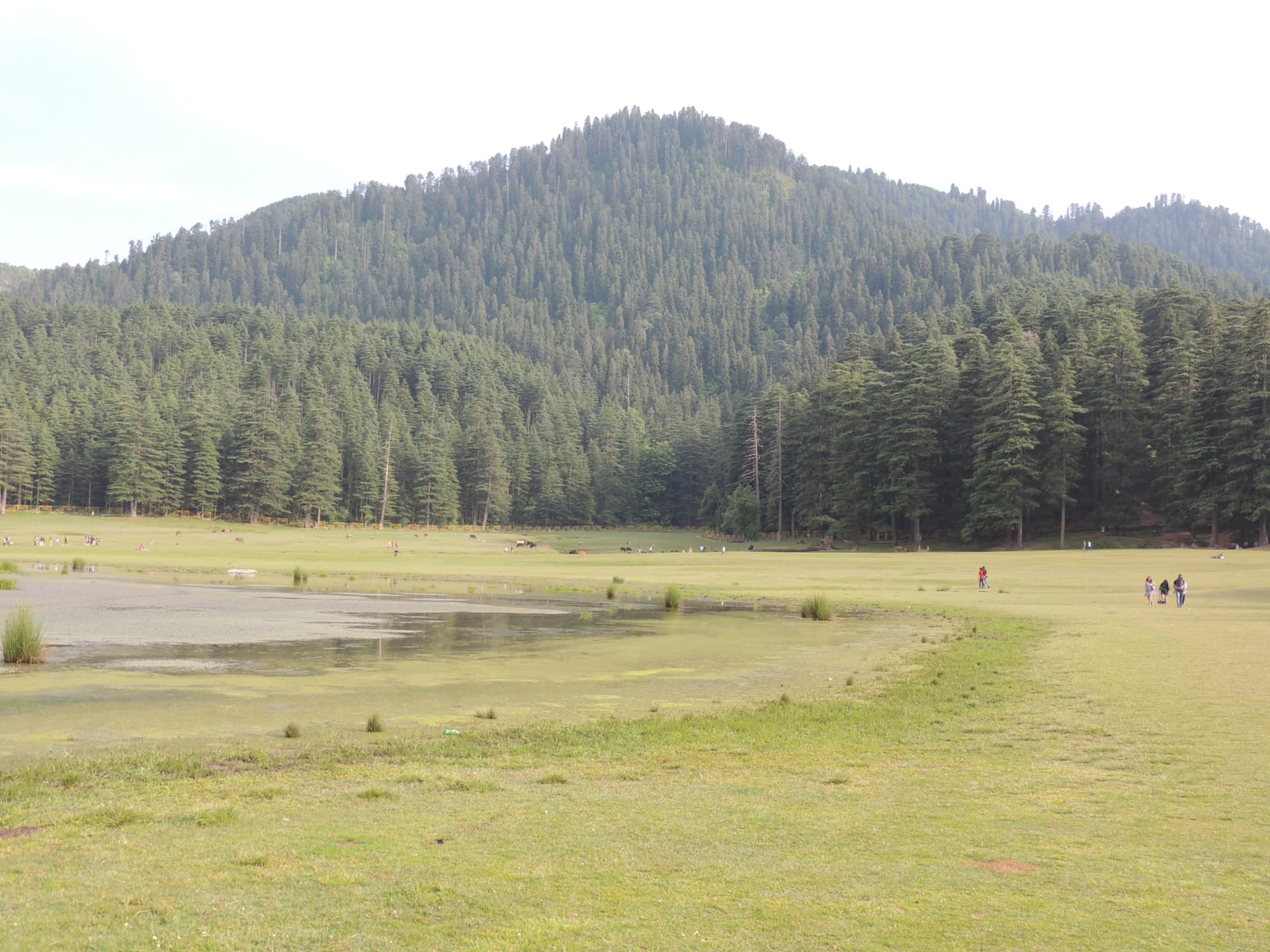 Khajjiar Meadow, Khajjiar, Himachal Pradesh