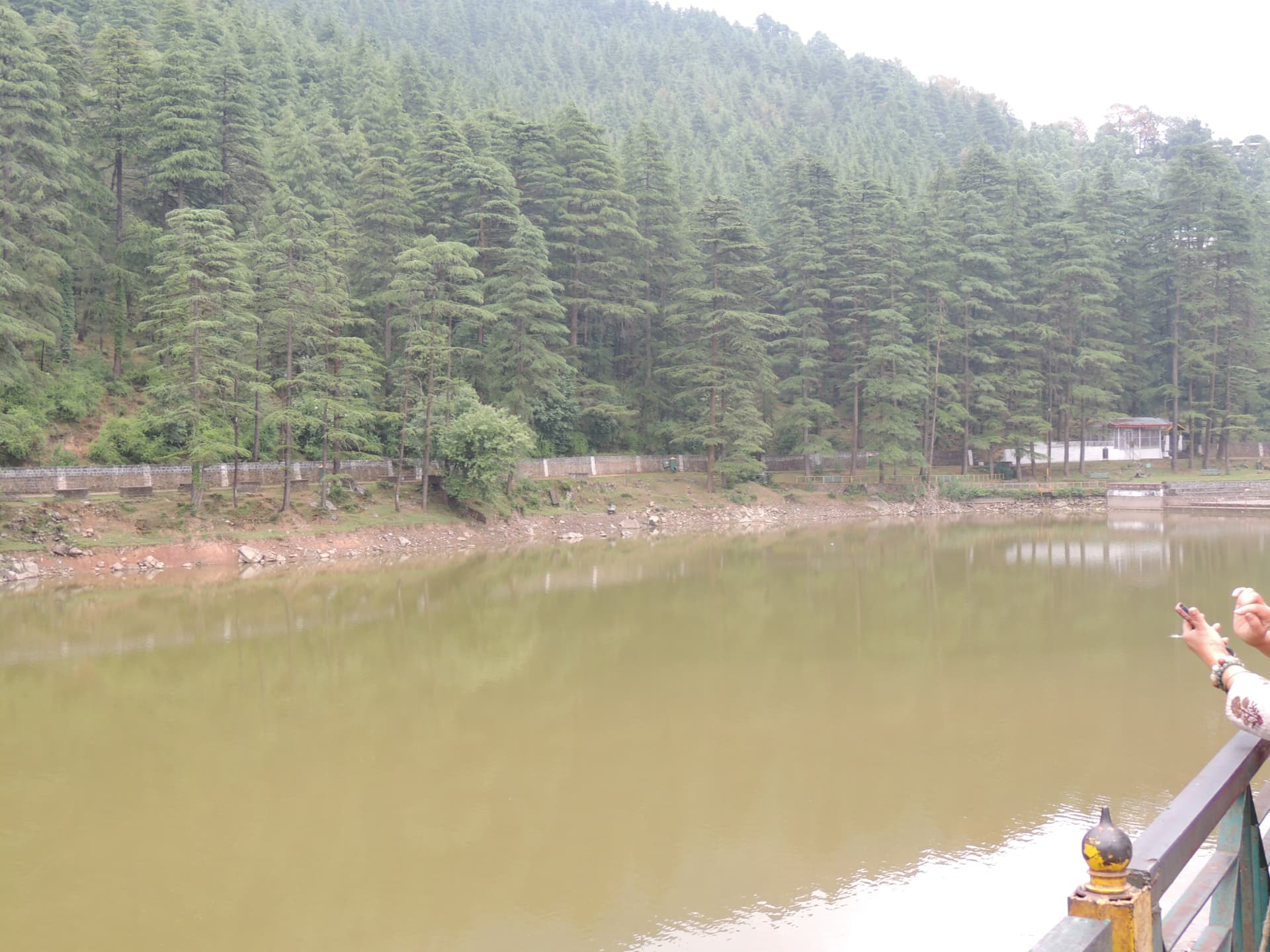 Dal Lake, Dharamshala, Dharamshala, Himachal Pradesh