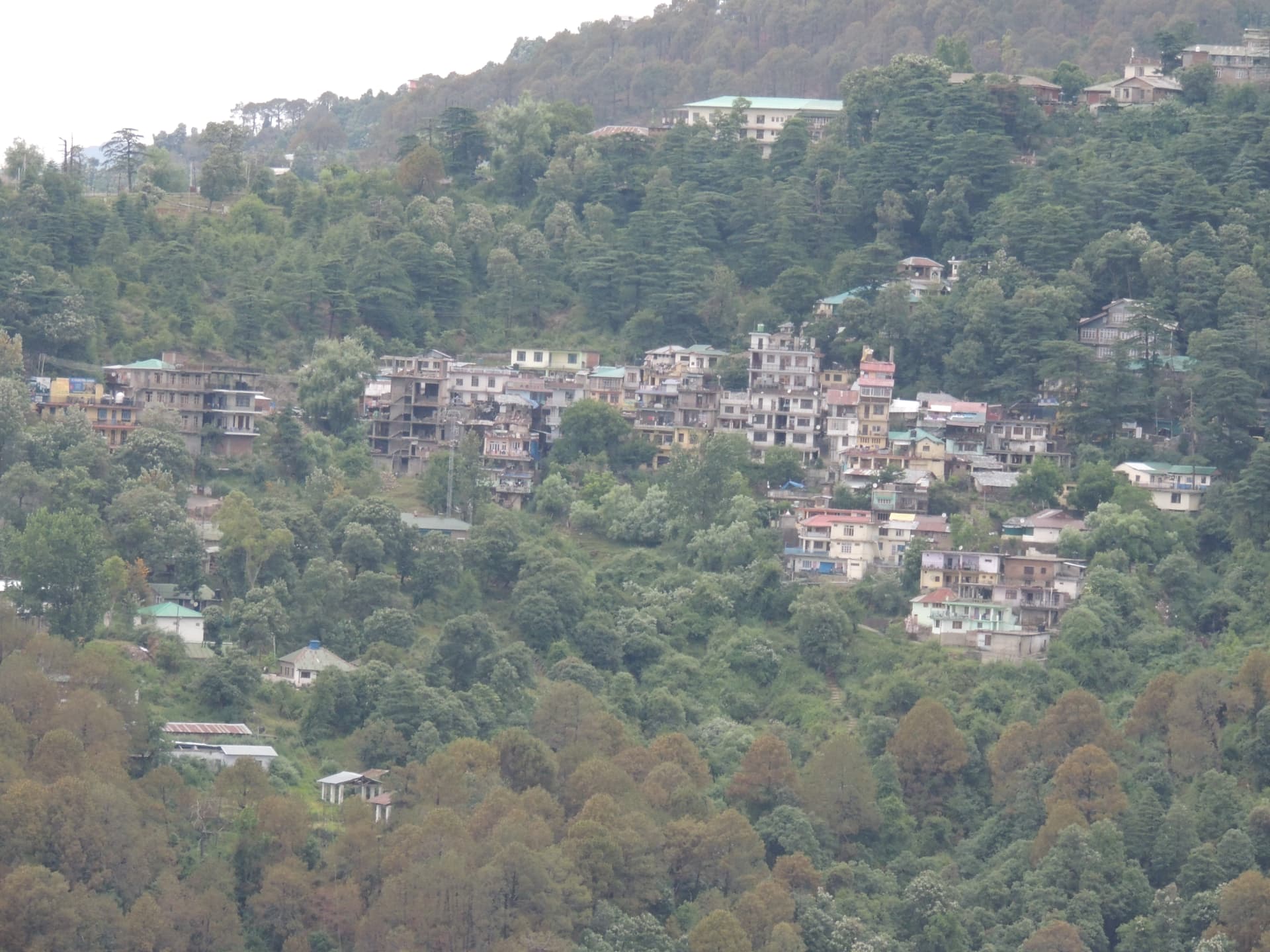 Hillside Town, Dharamshala, Dharamshala, Himachal Pradesh