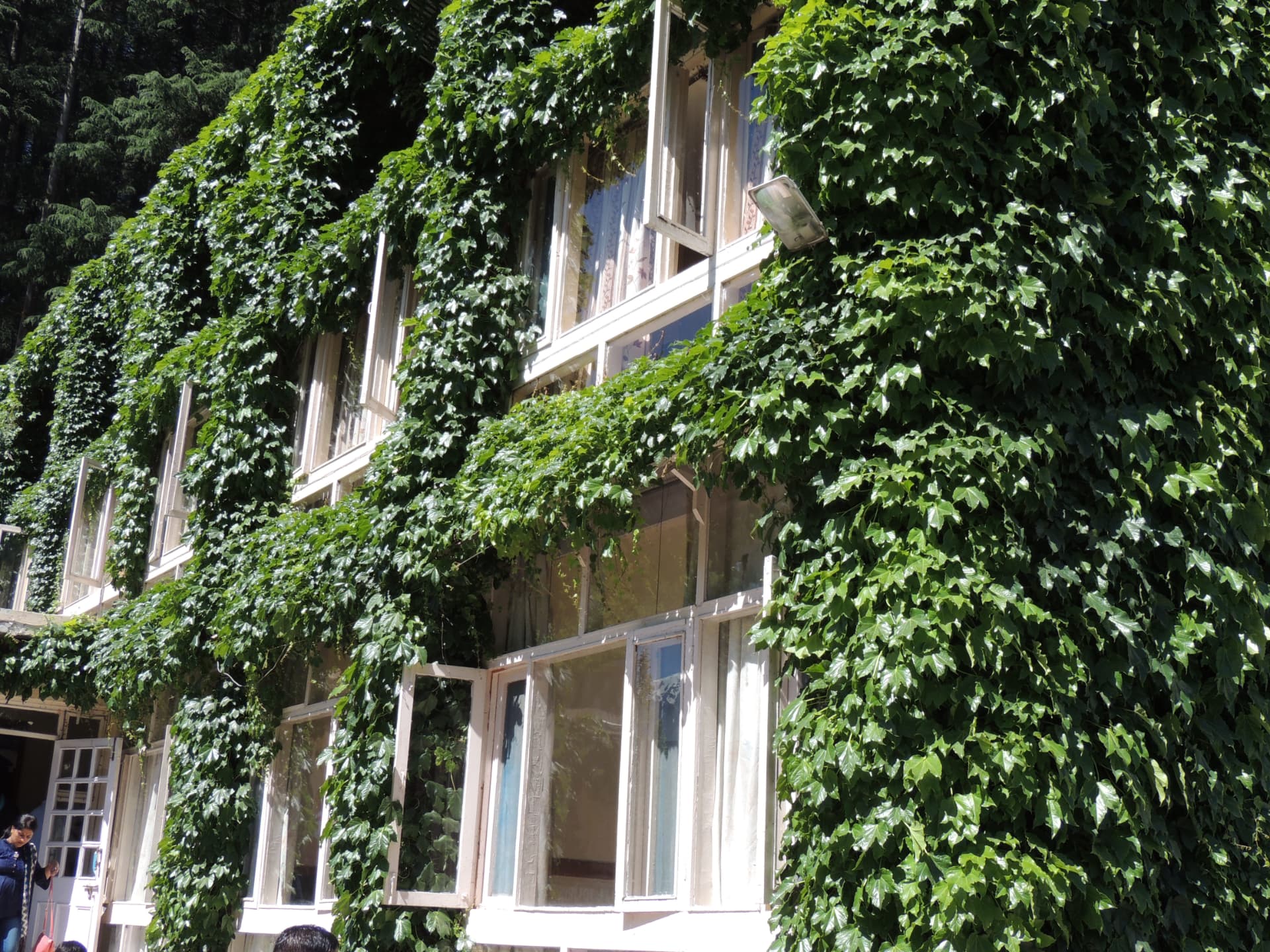 Himachal Pradesh, Ivy-covered house, Himachal Pradesh