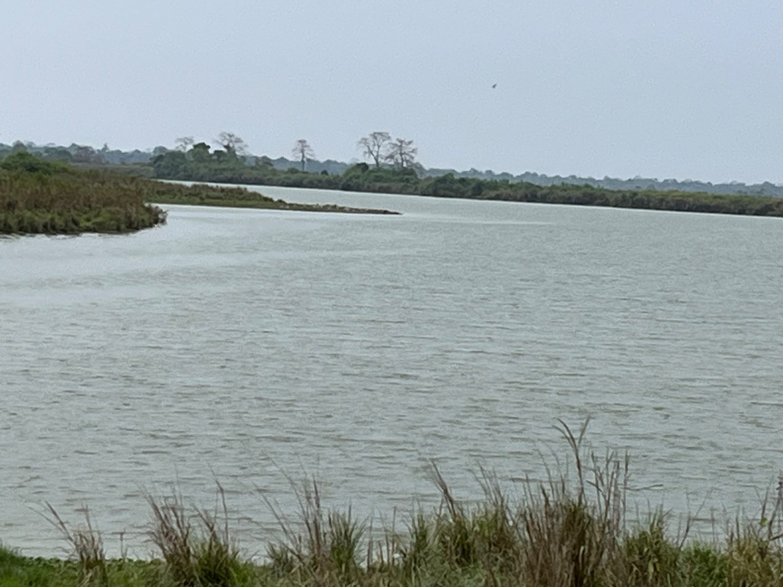 Still Waters of the Beel, Kaziranga, Assam