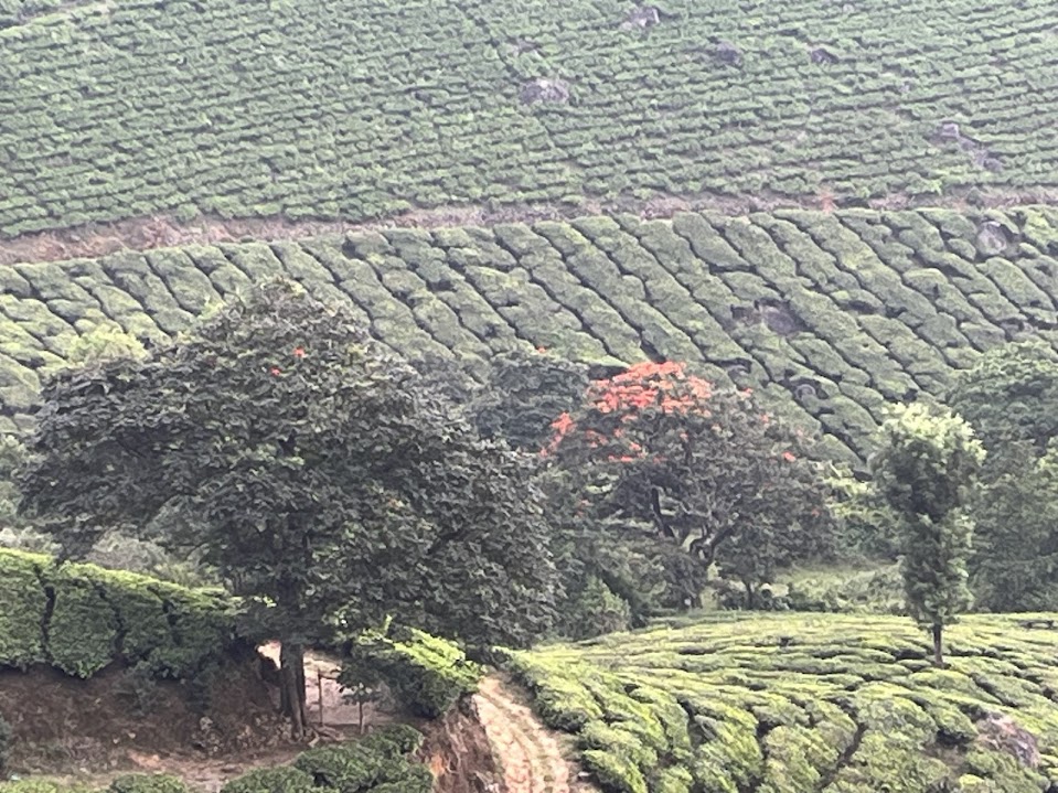 Kerala, Kerala