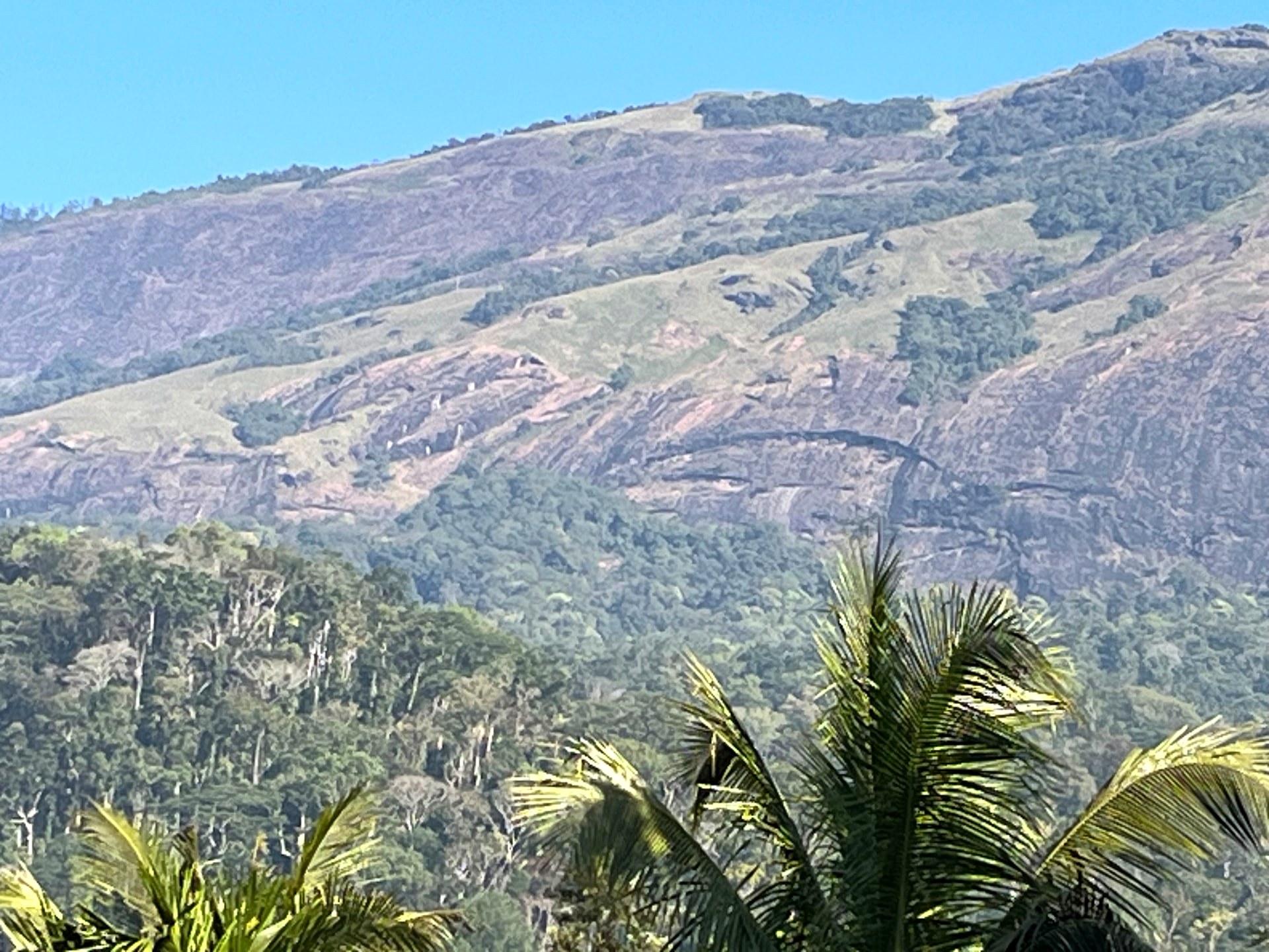 Munnar Hills, Munnar, Kerala