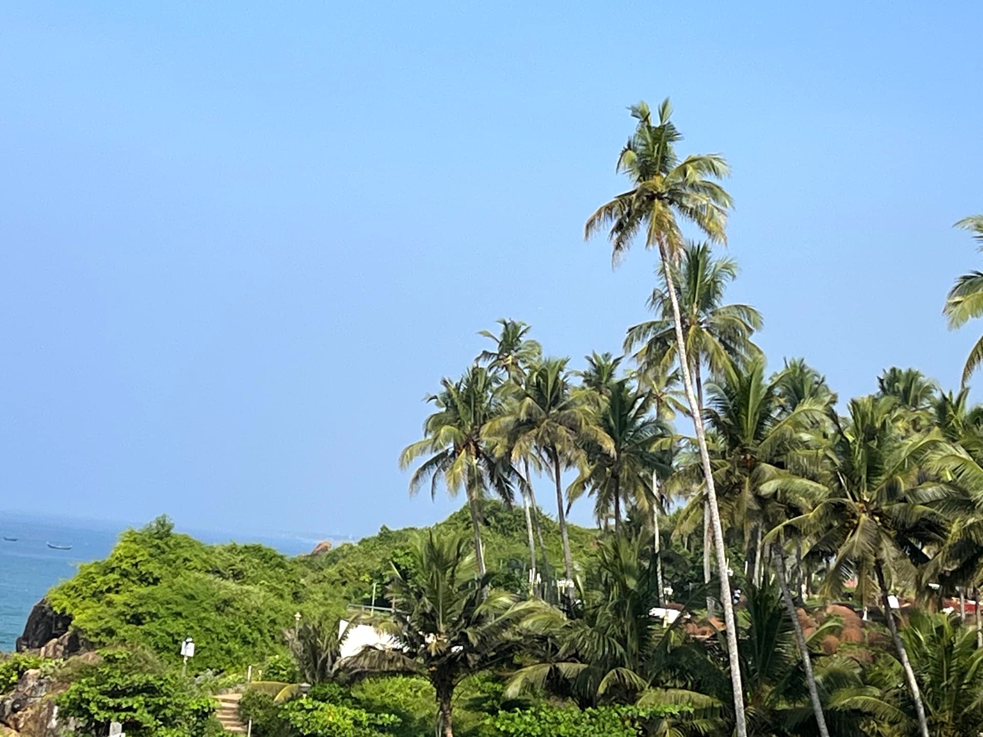 Sea and Coconut Palms, Kovalam, Kerala