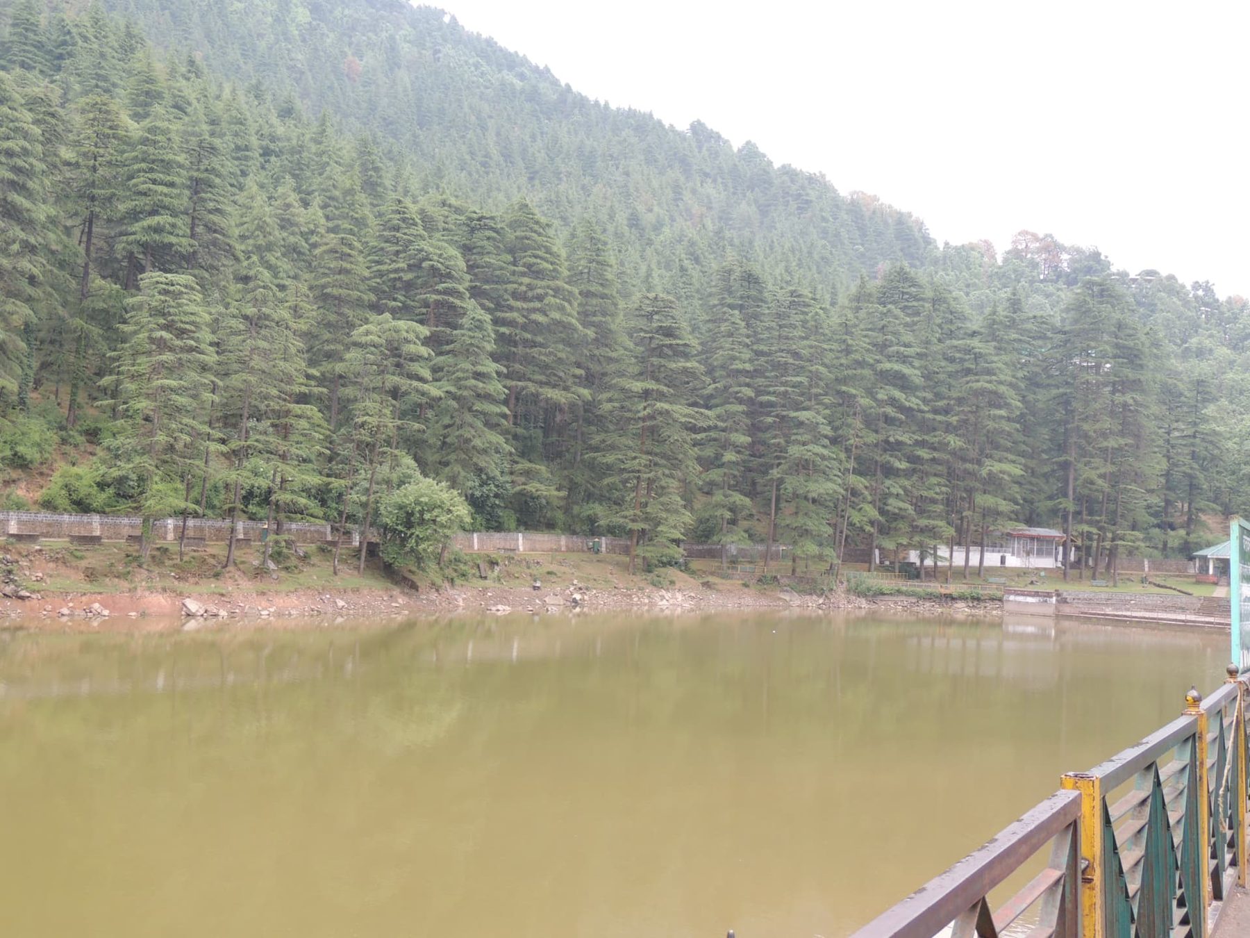 Dainkund Lake below the Pines, Dalhousie, Himachal Pradesh