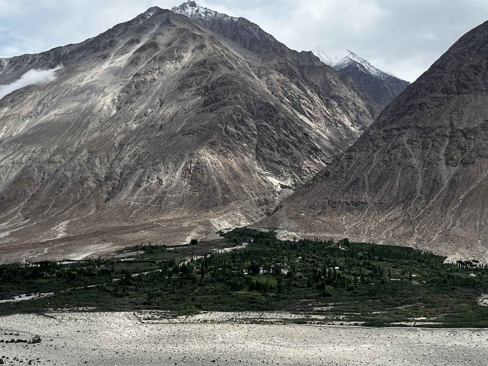 Nubra Valley Oasis, Nubra Valley, Ladakh