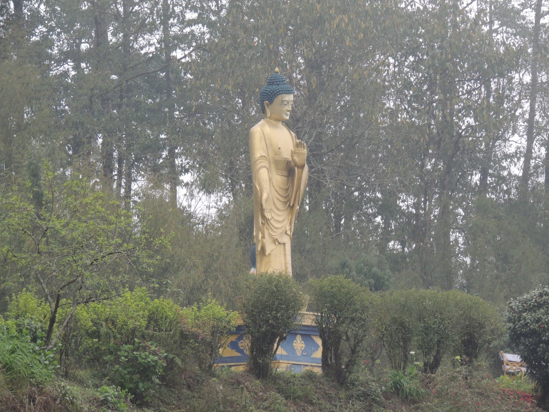 Golden Buddha among the Trees, North Bengal