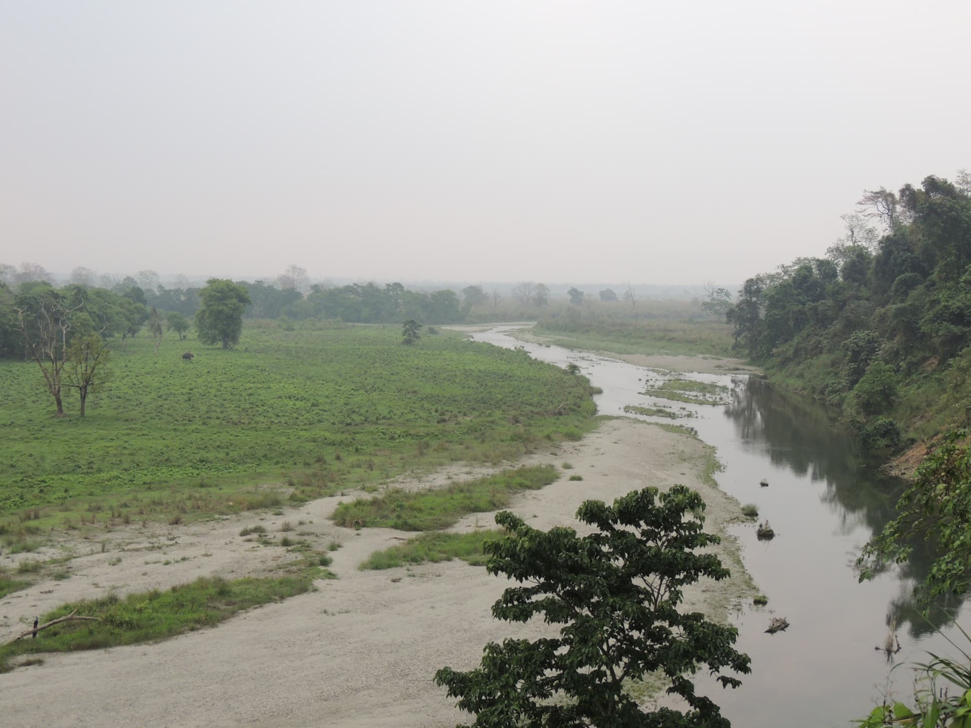 River through the Forest, North Bengal