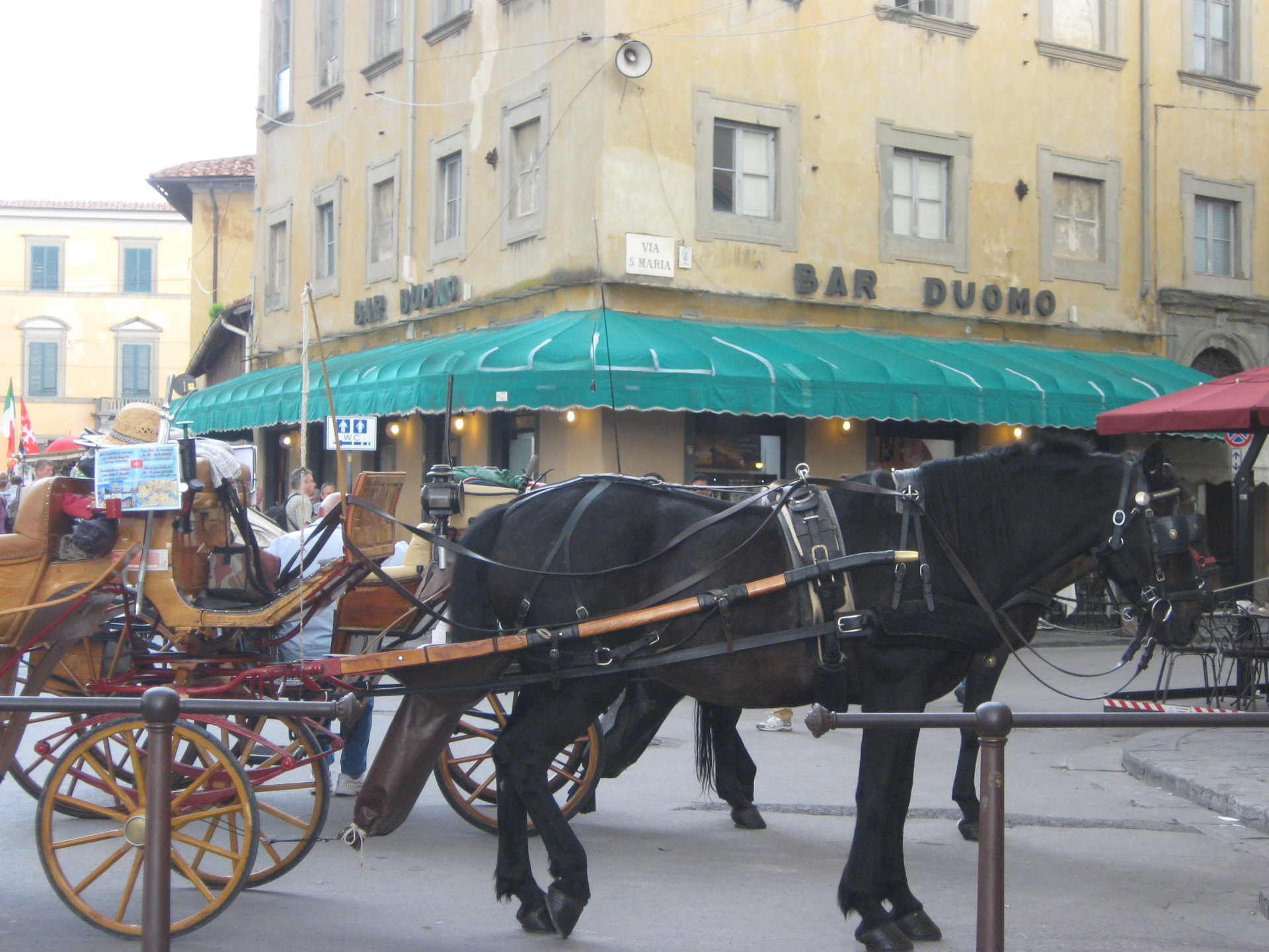 Horse Carriage by Pisa Cathedral, Pisa, Italy