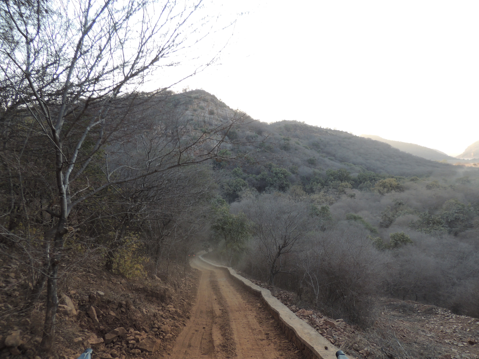 Forest trail through the hills, Ranthambore, Rajasthan