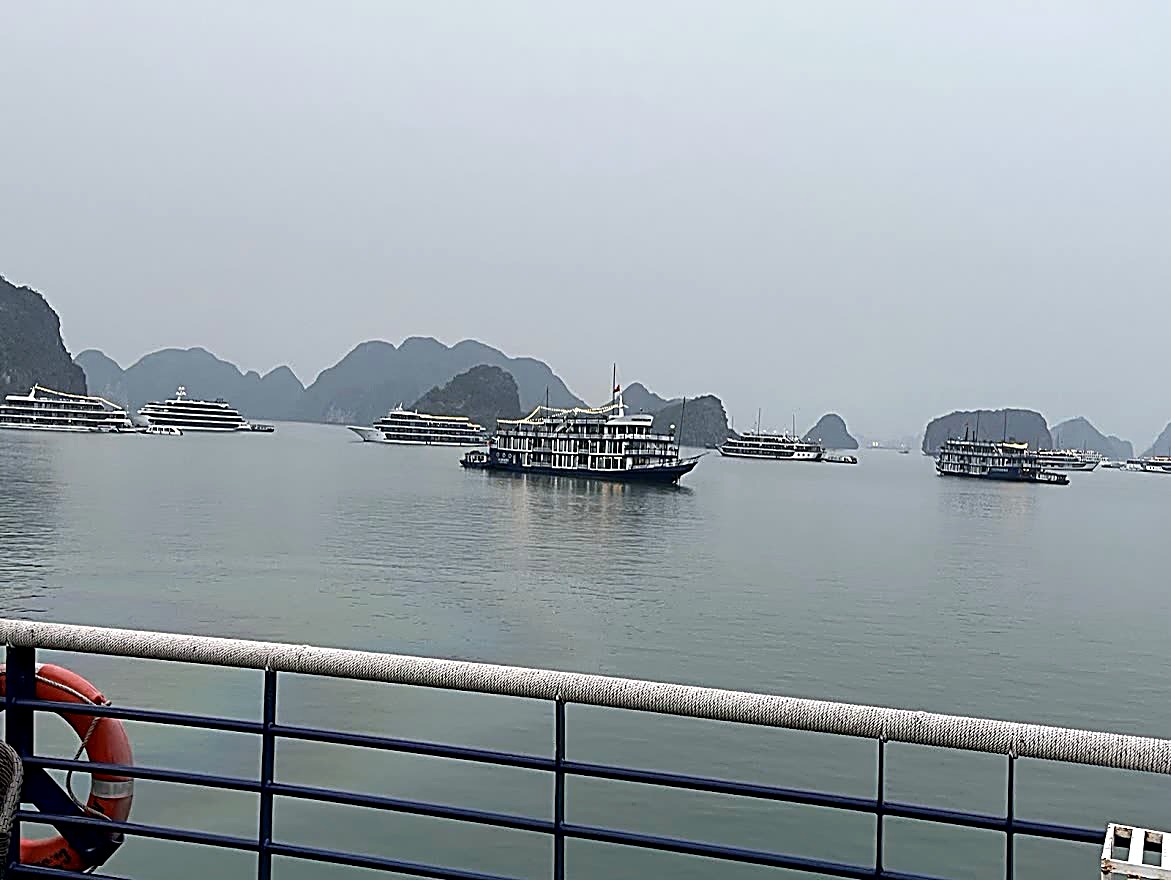 Cruise Fleet at Anchor, Ha Long Bay, Vietnam